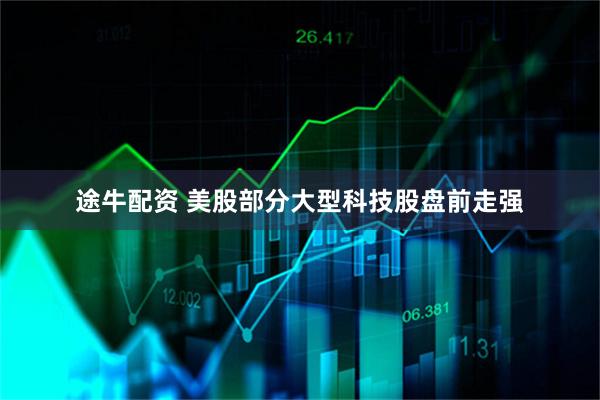 途牛配资 美股部分大型科技股盘前走强
