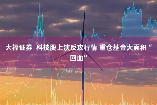 大福证券  科技股上演反攻行情 重仓基金大面积“回血”